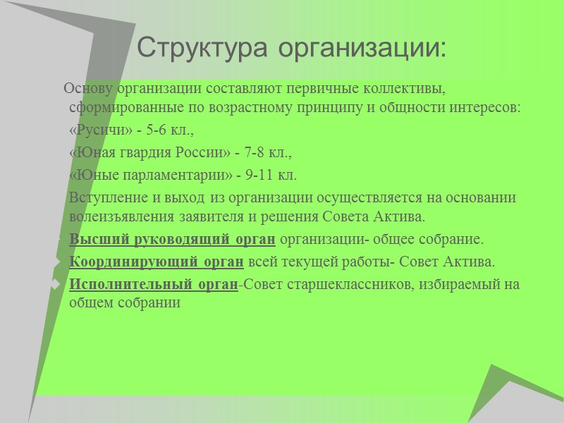 Структура организации:      Основу организации составляют первичные коллективы, сформированные по